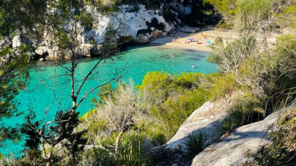 Malownicza zatoka na Minorce z turkusową wodą, otoczona skalistymi klifami i bujną roślinnością. Na pierwszym planie pochylone drzewo rosnące na skraju klifu, a w tle jasne skały i zielony las odbijające się w krystalicznej wodzie.