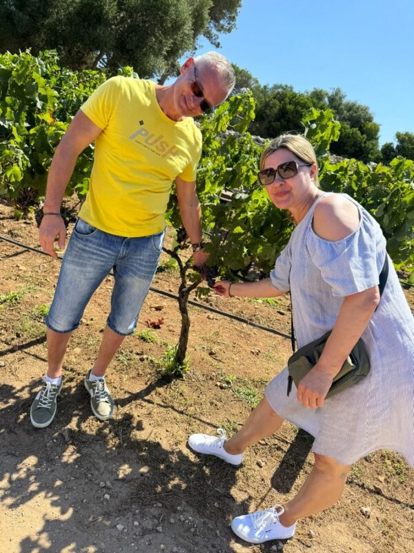 Degustacja win na Minorce podczas prywatnej wycieczki z indywidualnym planem zwiedzania