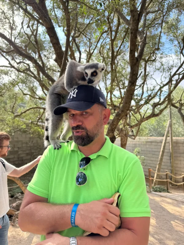 Lemur siedzący na ramieniu turysty w azylu na Minorce